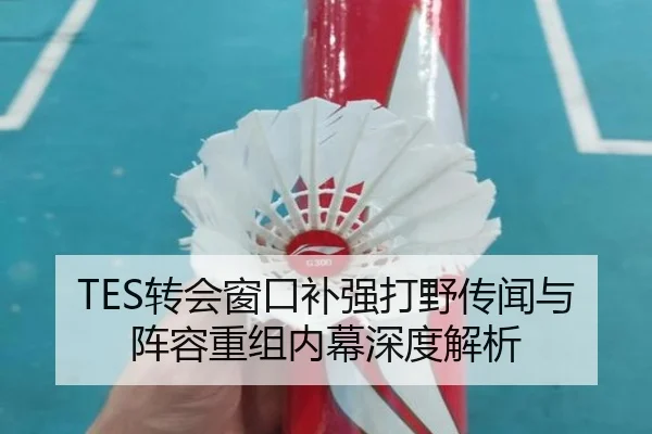TES转会窗口补强打野传闻与阵容重组内幕深度解析